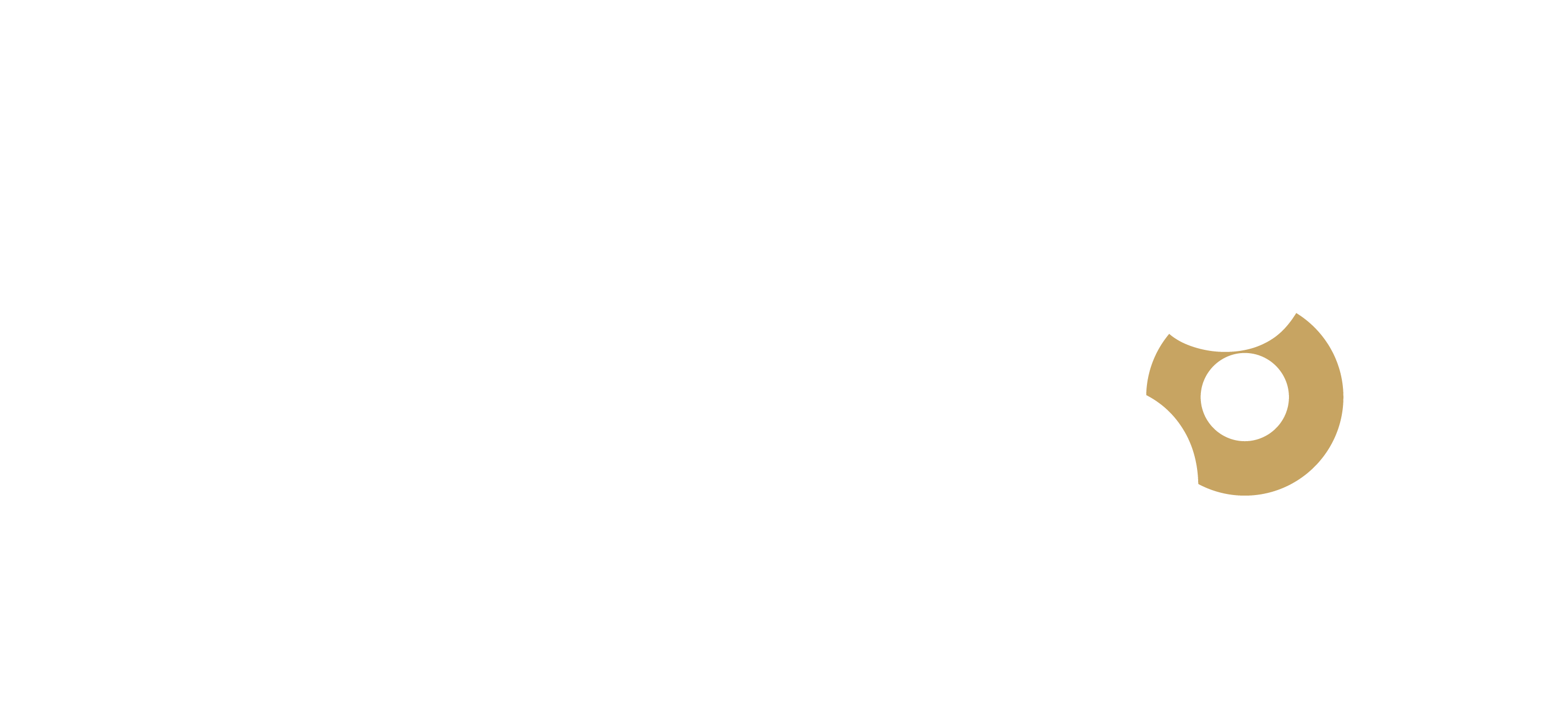 MM logo white