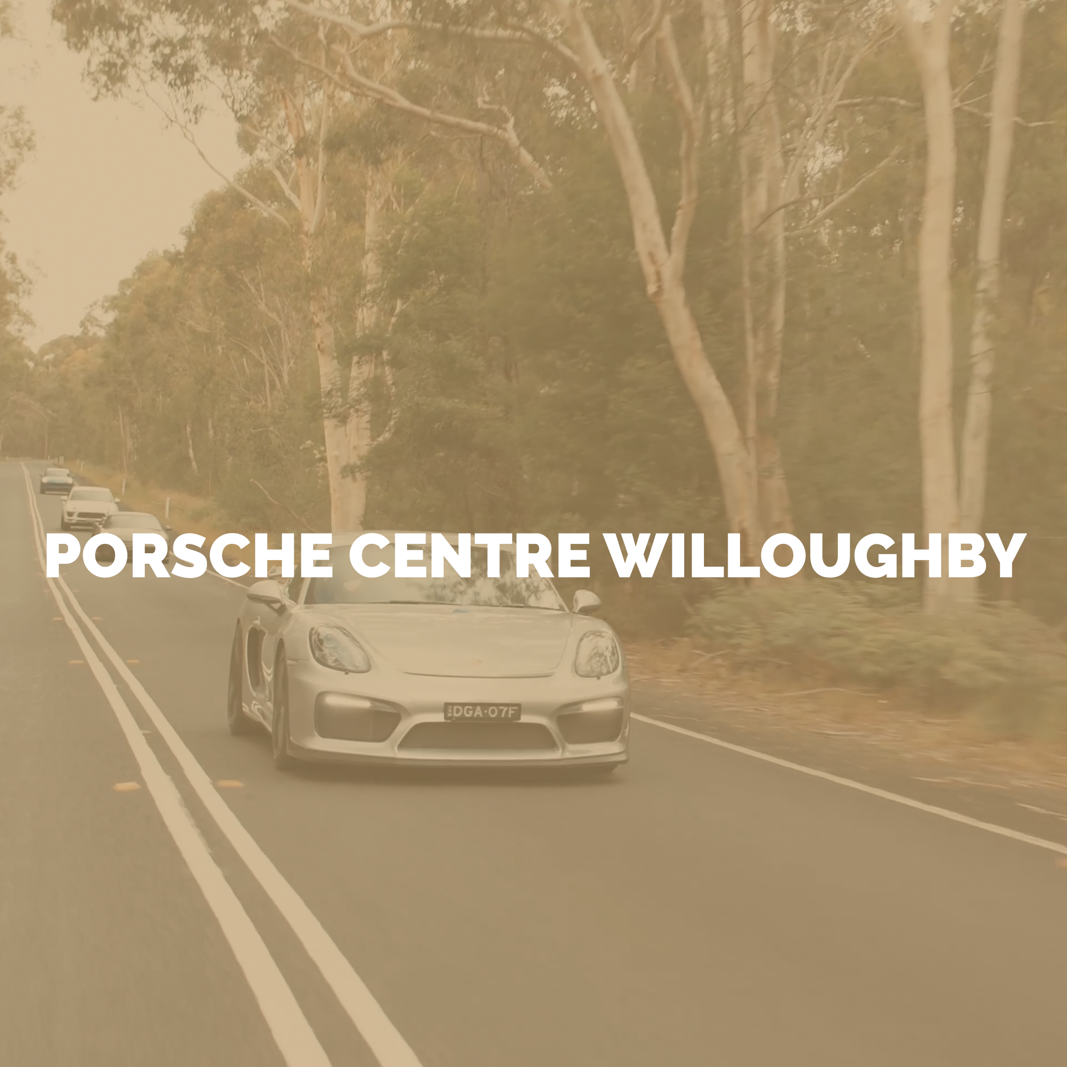 14 Porsche Willoughby Gold